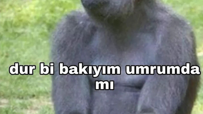 Siteden gitseydin üzülür müydüm söyleyim mi?