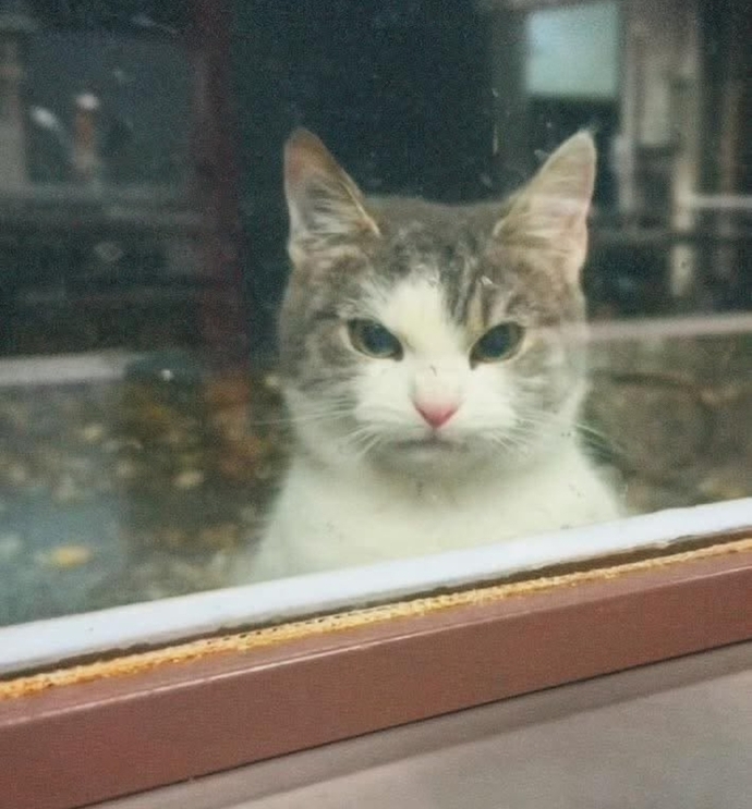Sizi gercek hayatta tanisam gercekten sever miydim sizce?