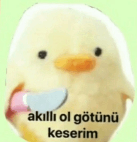 Akıl her zaman alıştığını mi özler?