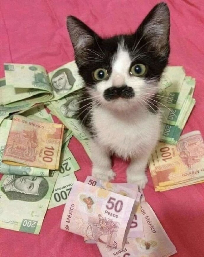 Hangi pisiksu daha yakışıklı?