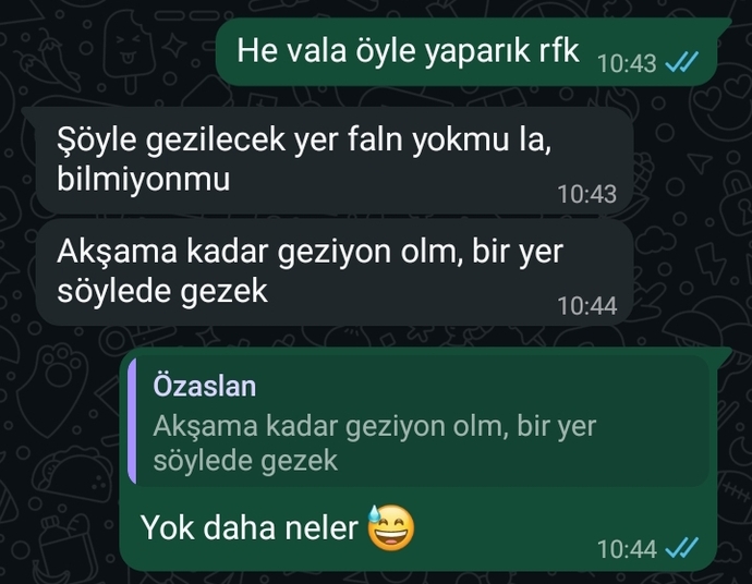 Aman aman iftira bunlar 😸😸
