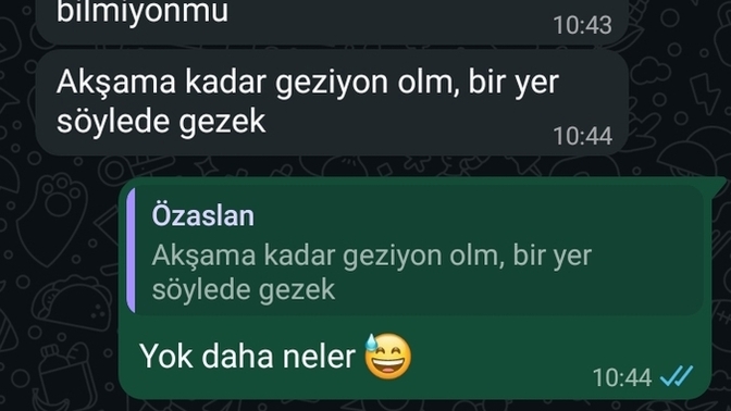Gezmeyi sever misin?