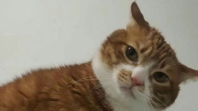 Burada mesajları açık olan herkese mesaj atıyor musunuz?