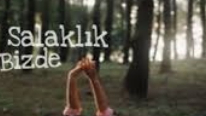 İnsanların aptallıklarına tahammül seviyeniz ne durumda, sizce sınırınız neresi?