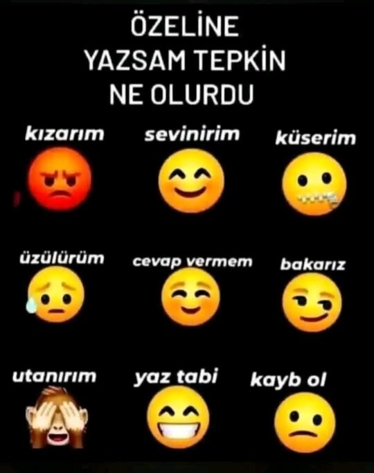 Özelime yazsan tepkin ne olurdu, k s ailemle aranda nasıl bir duygu olurdu?