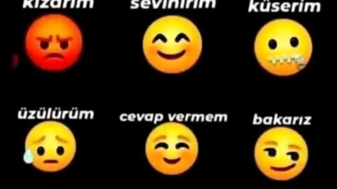 Özelime yazsan tepkin ne olurdu, k s ailemle aranda nasıl bir duygu olurdu?