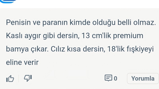 Görüşleri okumak bazen soru cevaplamaktan daha keyifli geliyor mu?
