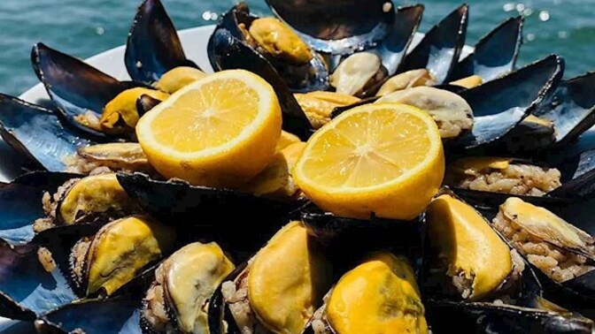 Bedava olsa bile asla yemem dediğiniz yemek hangisi ve neden?