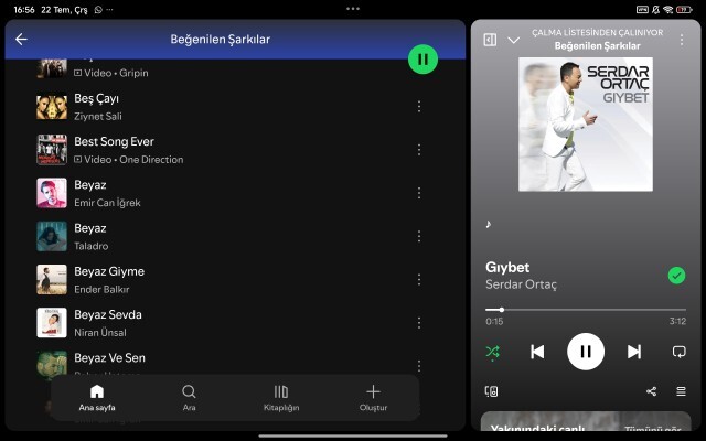 Müzik zevkim yüzünden Alevi olduğum ima edilip aşağılmam ırkçılık mı?