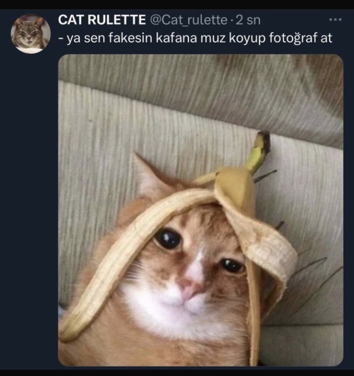 Size hiç fake diyen oldu mu?