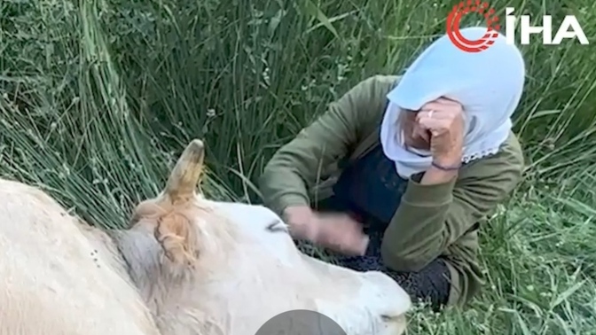 Hakkari Yüksekova’da ineğini kaybeden Ayni teyze için başlatılan bu dayanışma kampanyası hakkında ne düşünüyorsunuz?