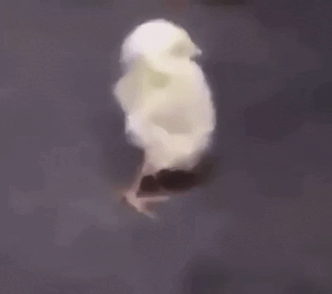 Hayatta en çok hangi konu üstünde strese girdiniz?