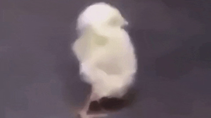 Hayatta en çok hangi konu üstünde strese girdiniz?