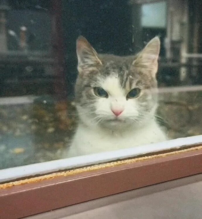 Çabuk sinirlenen biri misiniz?