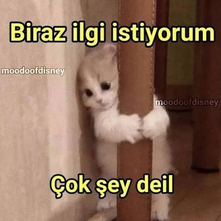 Şu anda çok kötüyüm lütfen yardım eder misiniz? Tam 15 dakikadır hiç bir kızdan iltifat almadım ölüyom galiba?