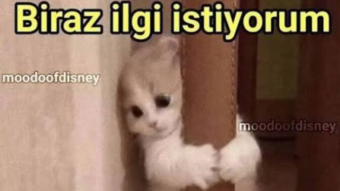 Şu anda çok kötüyüm lütfen yardım eder misiniz? Tam 15 dakikadır hiç bir kızdan iltifat almadım ölüyom galiba?