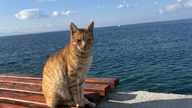 Sizi sevmem için bir neden söyler misiniz?