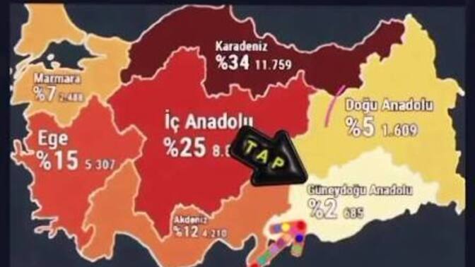 Teröre karşı sert olmak ilkellik mi, herkesi sevmek ve saygı duymak zorunda mıyız?