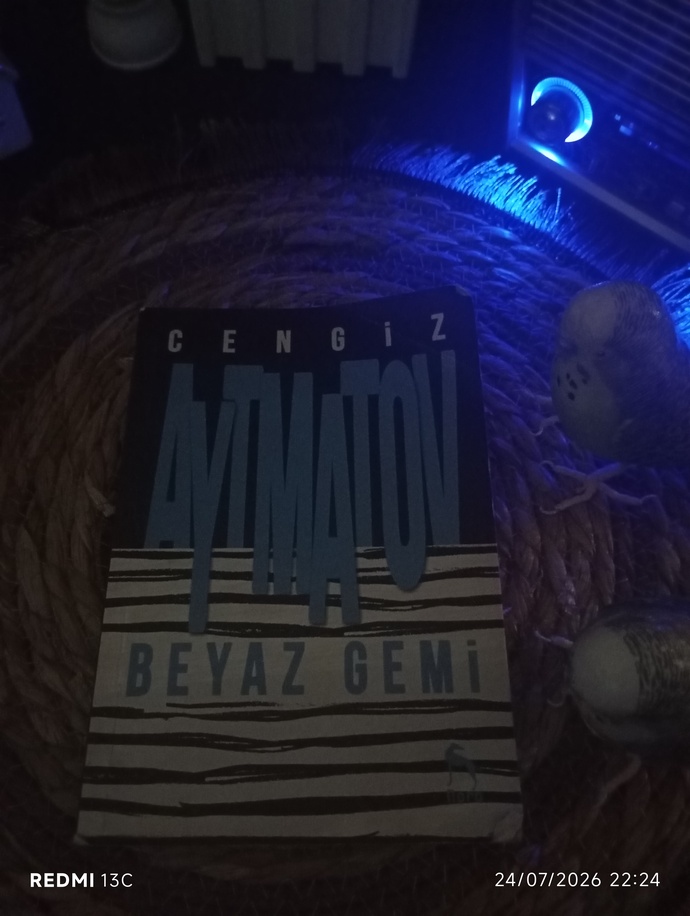 Şu an hangi kitabı okuyorsunuz, aranızda Beyaz Gemi okuyan var mı?