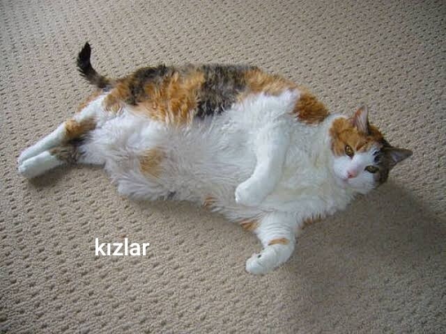Aksini iddia eden var mı?