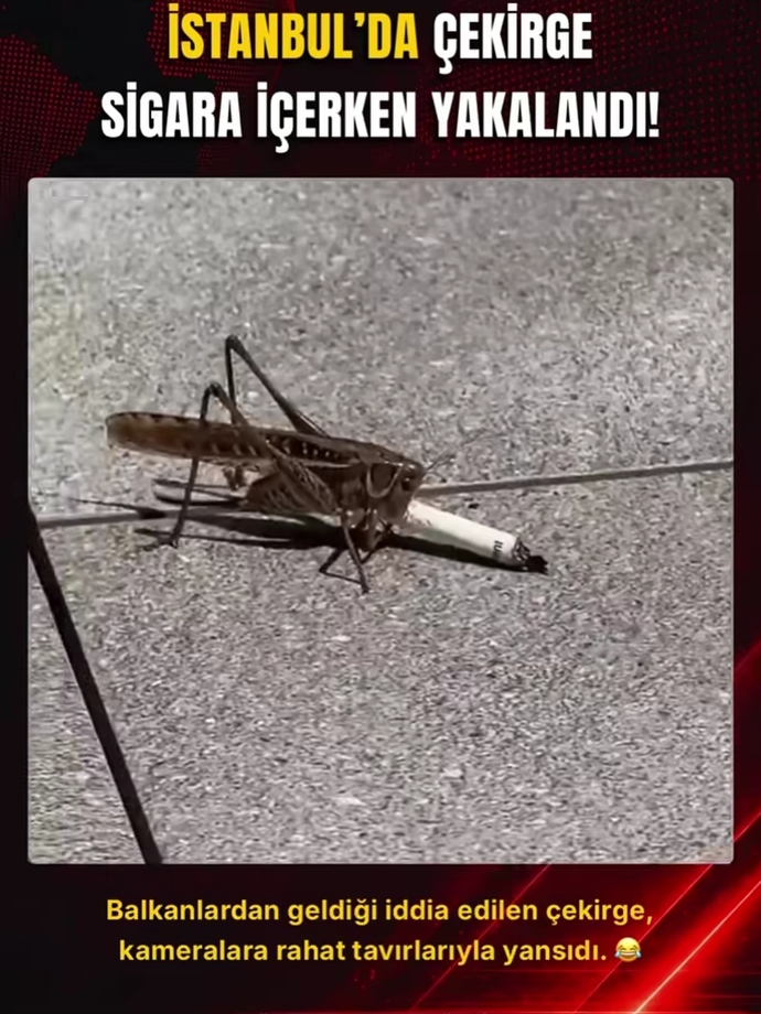 Cuvaralar üç oldu 🤣