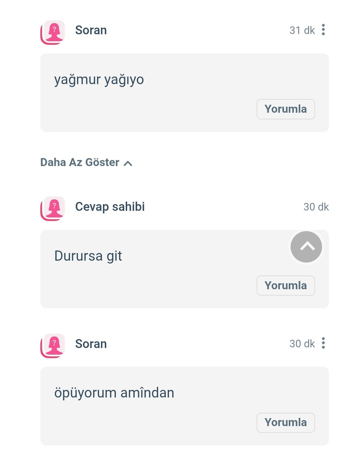 Sokak itlerine çözüm nasıl gelir?