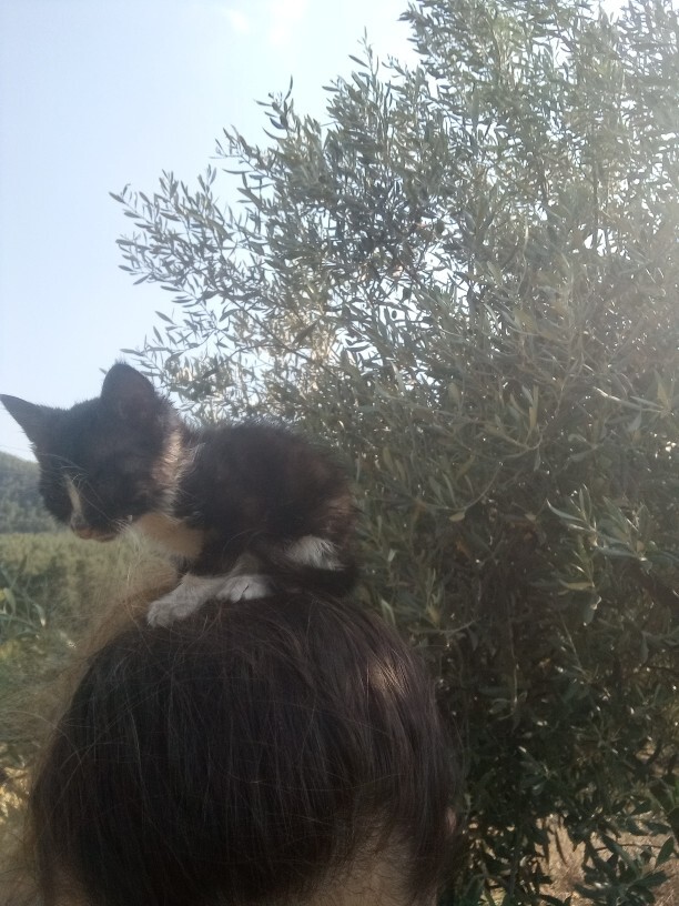 Kafamdaki çocuk nasıl sizce?
