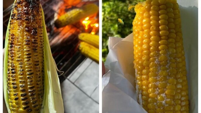 Mısırı közlenmiş mi seversin, haşlanmış mı?