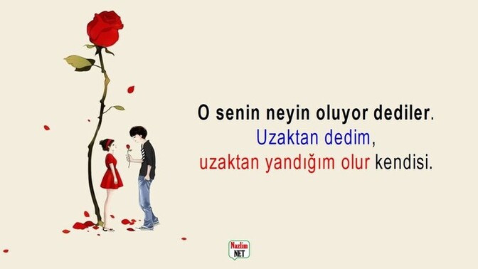 Herkes hayatında en az bir kez platonik aşk yaşar mı?