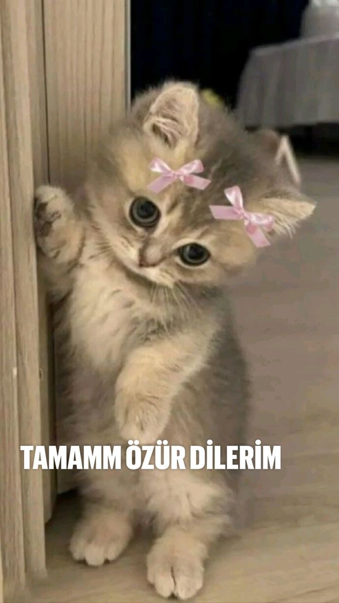 İlk özür dileyen sen olur musun?