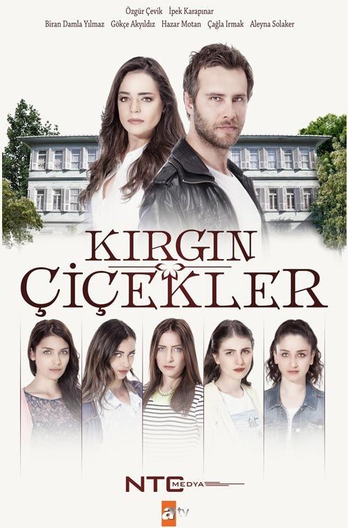 Sürekli yeniden açıp izlediğiniz, bıkmadığınız dizi hangisi?