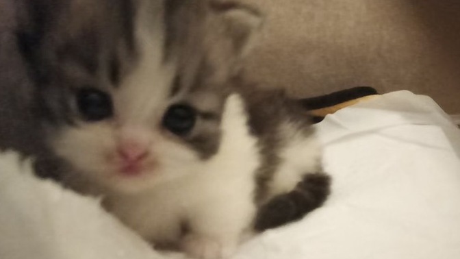 En çok neyin eksikliğini hissediyorsun?