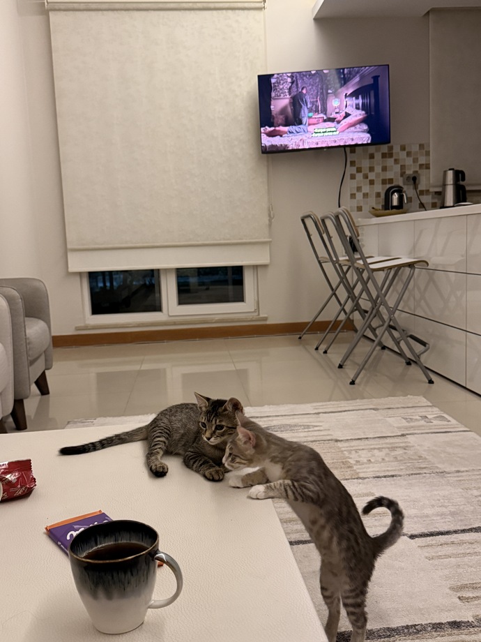 Film dizi izlemeyi sever misiniz?