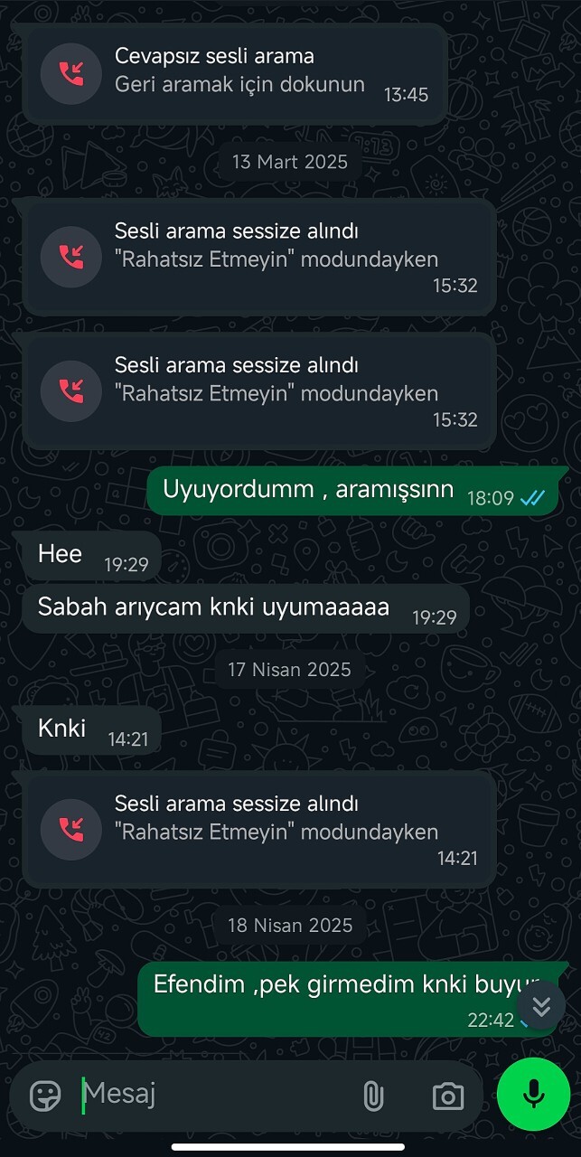 Telefon çalarken açmayıp kapanmasını bekledikten sonra Görmemişim, hayırdır mesajı atan var mı?