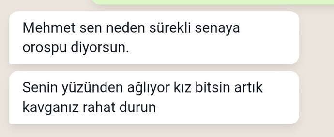 Sevgilimin attığı mesaja bakar mısınız?