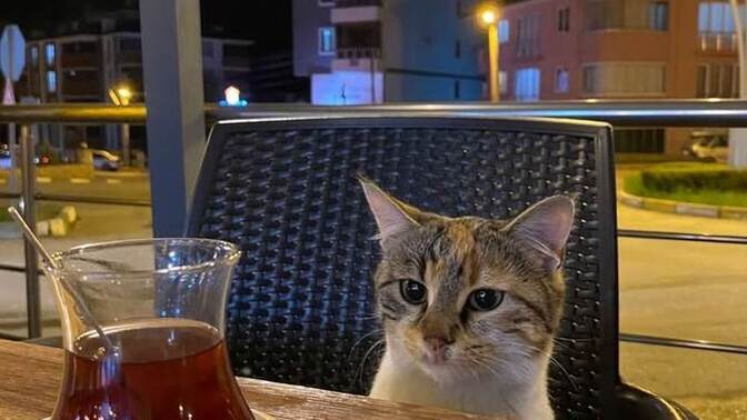 İlk buluşmada nelere dikkat edersiniz?