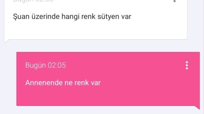 Bu cesaret nerden geliyor?