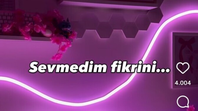 Monitör çevresinde ki beyaz çerçeve gibi bir şey var onu nasıl bulabilirim?