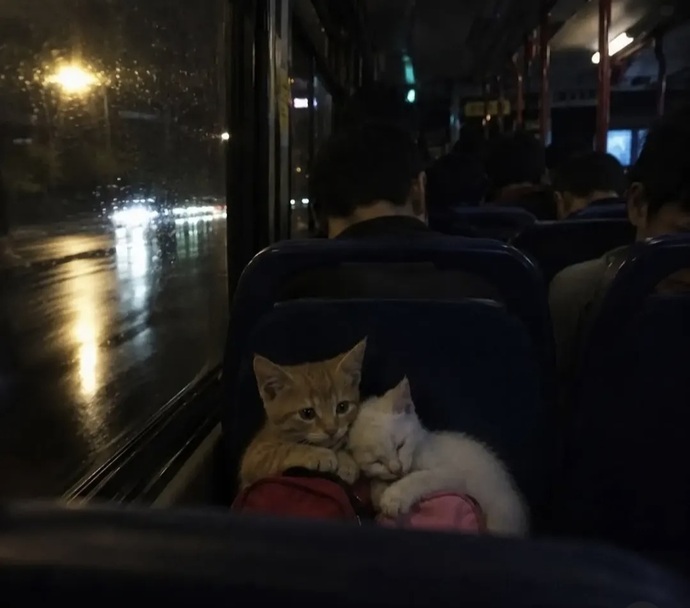 Şu an bir yere seyahat etmen gerekse; nereye ve kiminle gitmek isterdin?