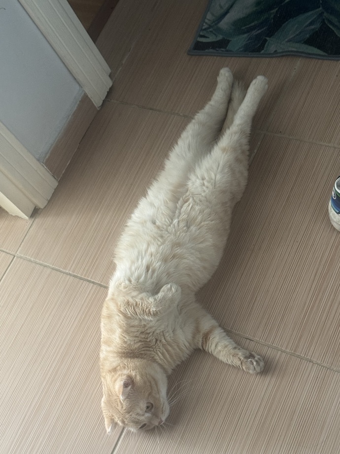 Resim çekmeyi sever misin?