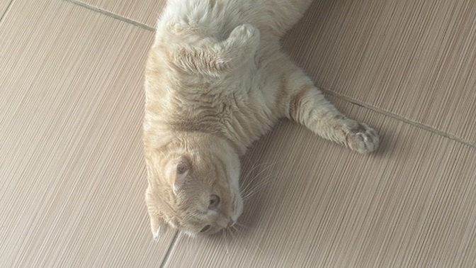 Resim çekmeyi sever misin?