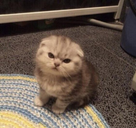 Kendini iyi olmaya çalışan bir kötü olarak mı tanımlarsın? Yoksa kötü olmaya yüz tutmuş bir iyi olarak mı? Neden?