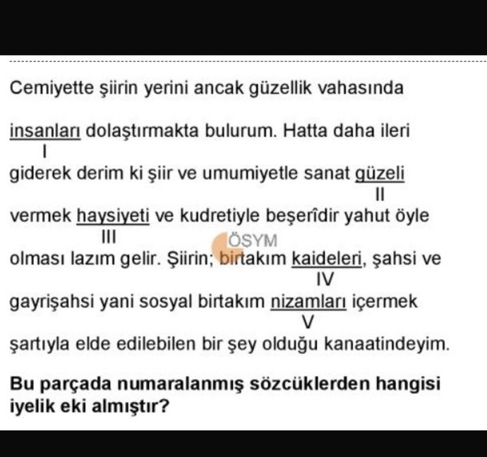 Sizce cevap ne?