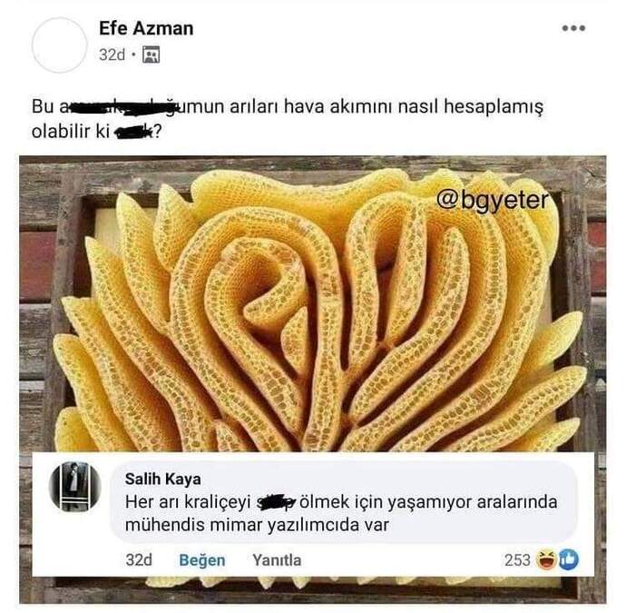 Arı olsanız her çiçekten bal alırmıydınız?