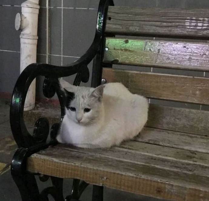 Dik durmayı nasıl alışkanlık ediniriz?