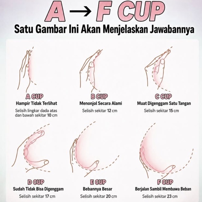 Cup ölçünüzü biliyor musunuz?