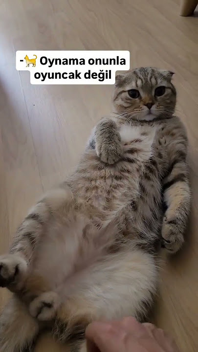 Duygularınızla oynadılar mı?