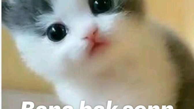Sinirlendiğinizde kolay sakinleşebilir misiniz?