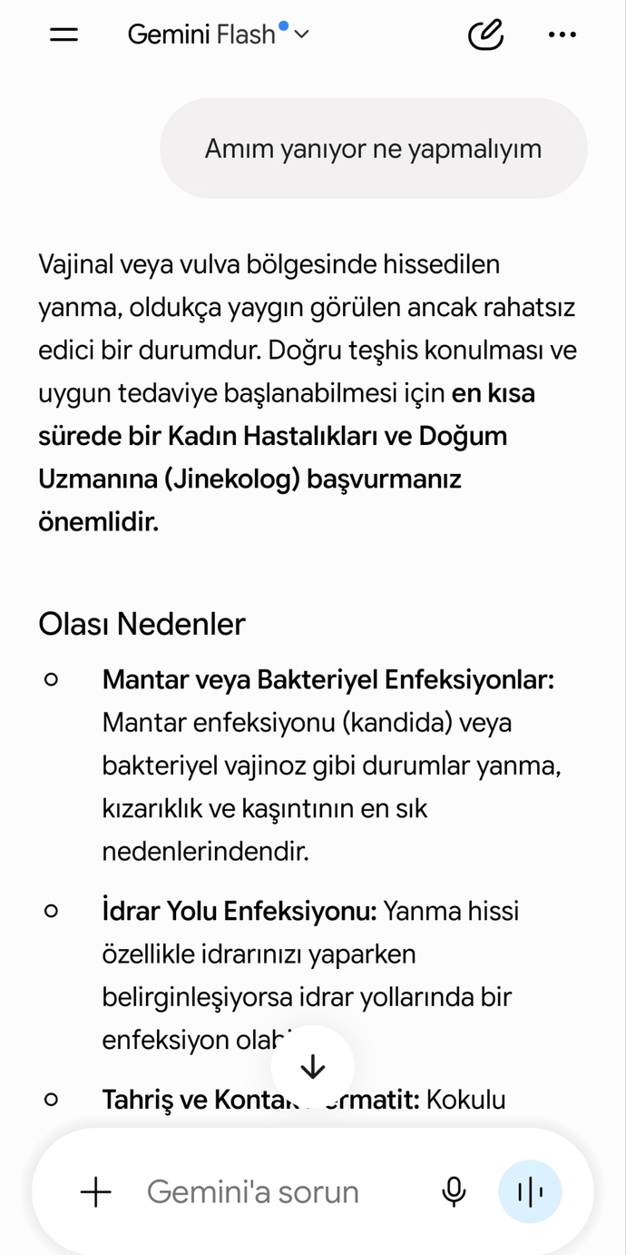 Yapay zekaya günde kaç soru soruyorsunuz, en çok ne tür sorular soruyorsunuz?