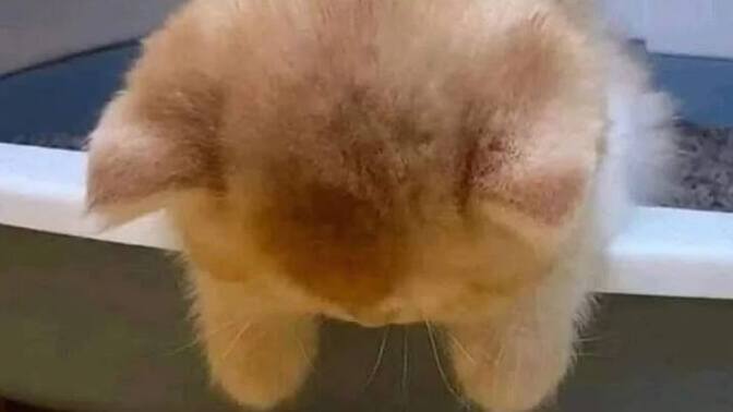 Nedensiz soğuduğunuz biri oldu mu?